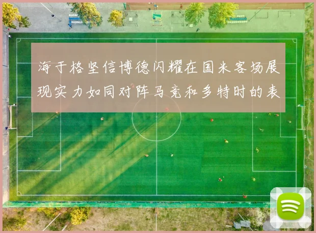 海于格坚信博德闪耀在国米客场展现实力如同对阵马竞和多特时的表现