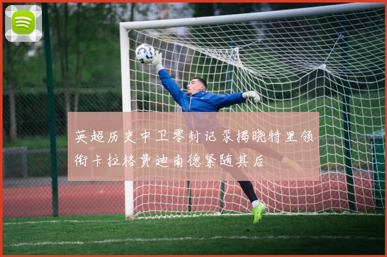 英超历史中卫零封记录揭晓特里领衔卡拉格费迪南德紧随其后