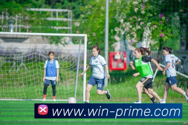 OnlineGambling中文版平台服务体系